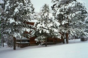 Creekside Cabin 2