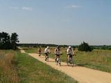Sand Prairie Trail